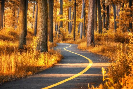 Making Critical Retirement Choices