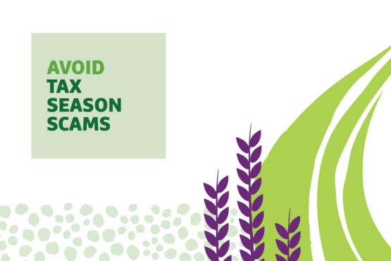 "Avoid tax season scams" text over graphic of purple plant