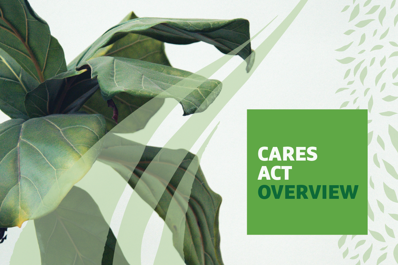 Green plant with "CARES Act Overview' text overlayed