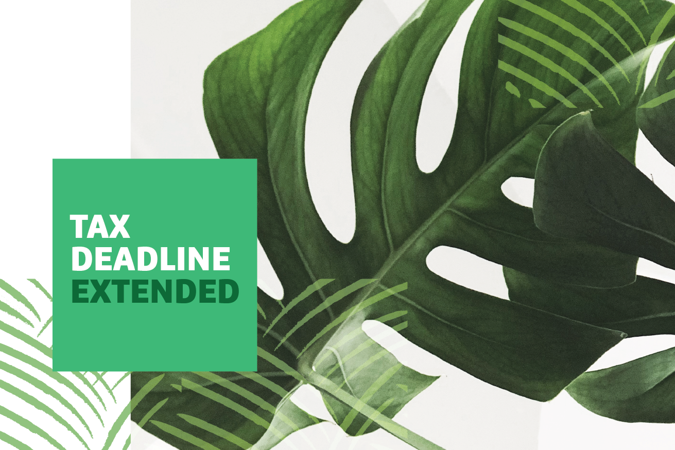 Graphic of monstera leaf with "Tax Deadline Extended" text overlayed