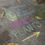 Sidewalk chalk mural that states "O'Berrys x Grow Financial Free Plants"