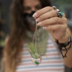 Woman holding airplant in ceramic holder