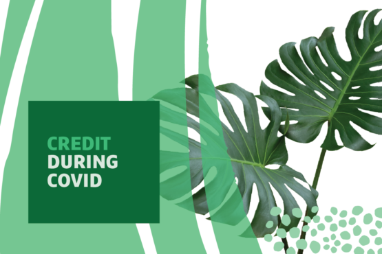 "Credit During COVID" text over graphic of two large leaves