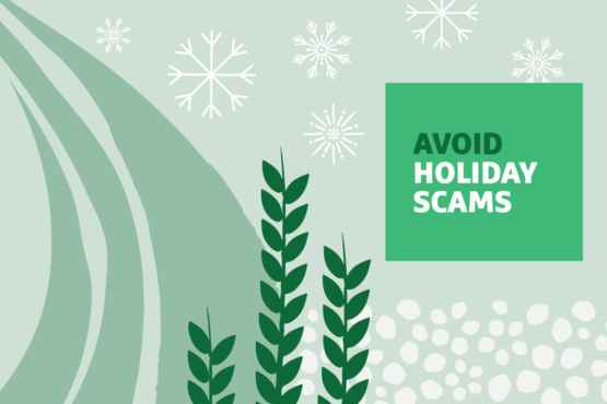 "Avoid Holiday Scams" text over graphic of snowflakes and plants