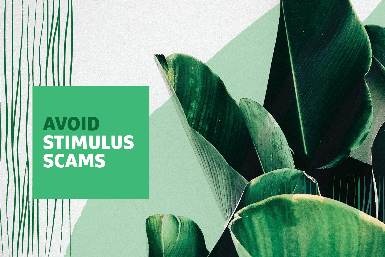 "Avoid Stimulus Scams" text over graphic of leaves