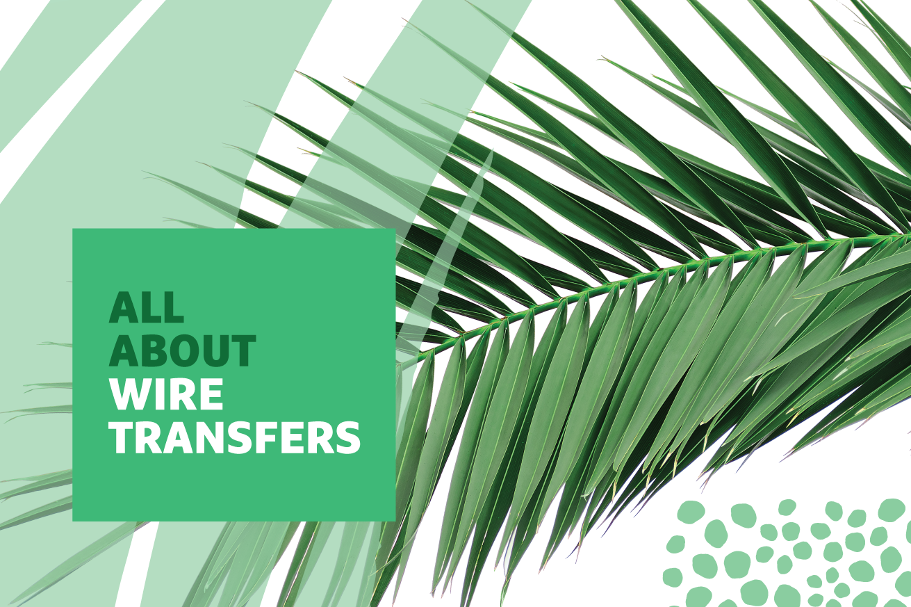 "All About Wire Transfers" text over image of palm frond
