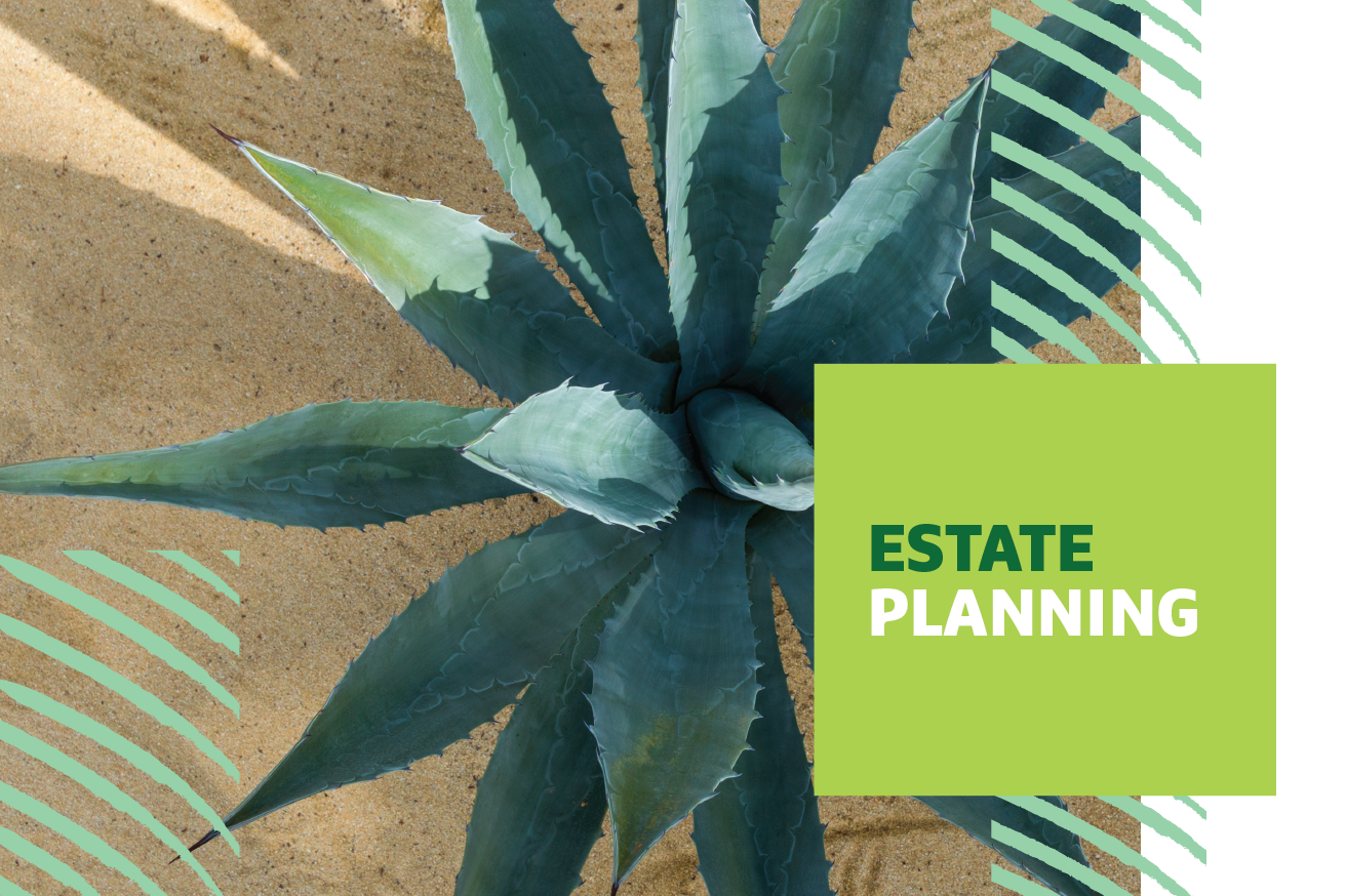 Image of a plant with "Estate Planning" text overlayed