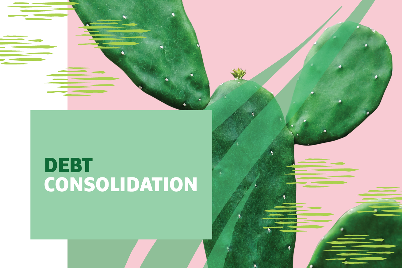 Graphic of a cactus with "Debt Consolidation" text overlayed