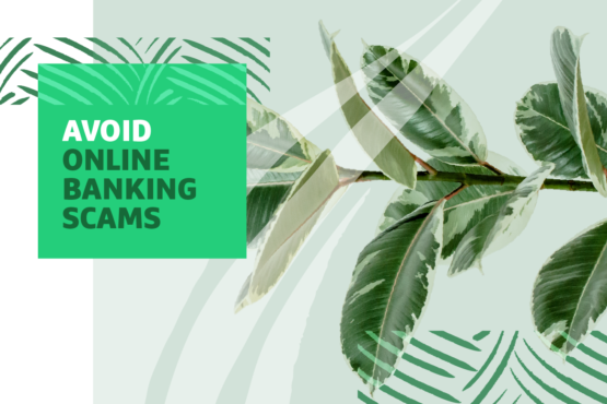 Plant photo with "Avoid Online Banking Scams" text overlayed