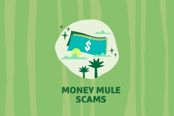 Dollar bill graphic with "Money Mule Scams" text overlayed