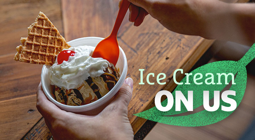 The Revolution Ice Cream Co. - Still Serving! - Grow Financial