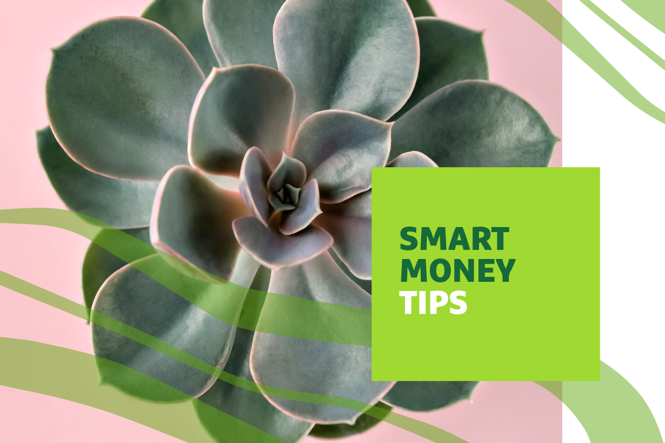 Succulent on pink background with "Smart Money Tips" text overlay