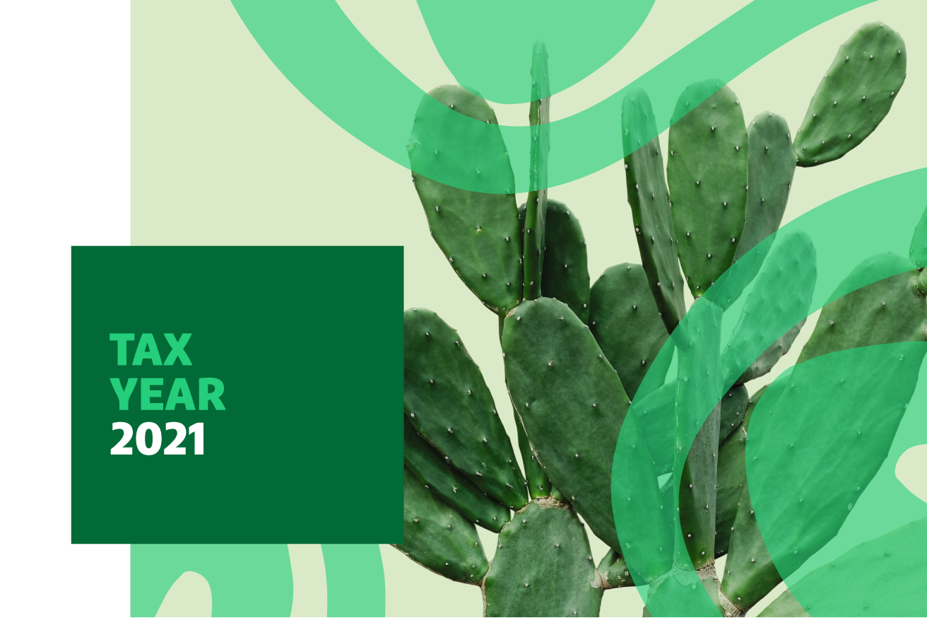 Cactus with graphic lines with "Tax Year 2021" text overlayed