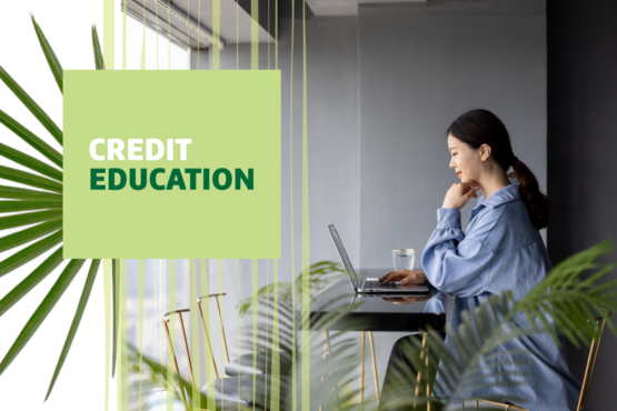 "Credit Education" text over image of a woman working at a laptop