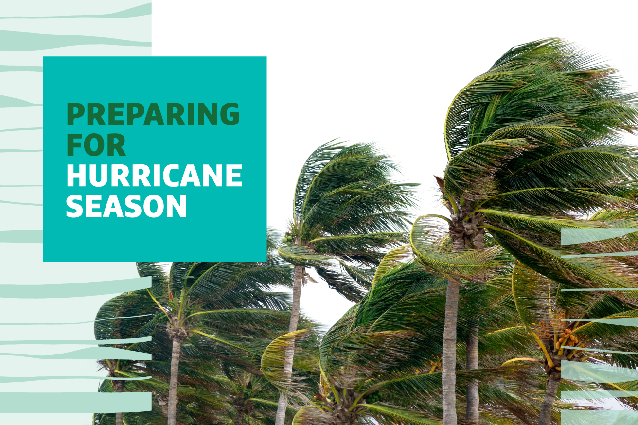 "Preparing for hurricane season" text over image of palm trees blowing in the wind