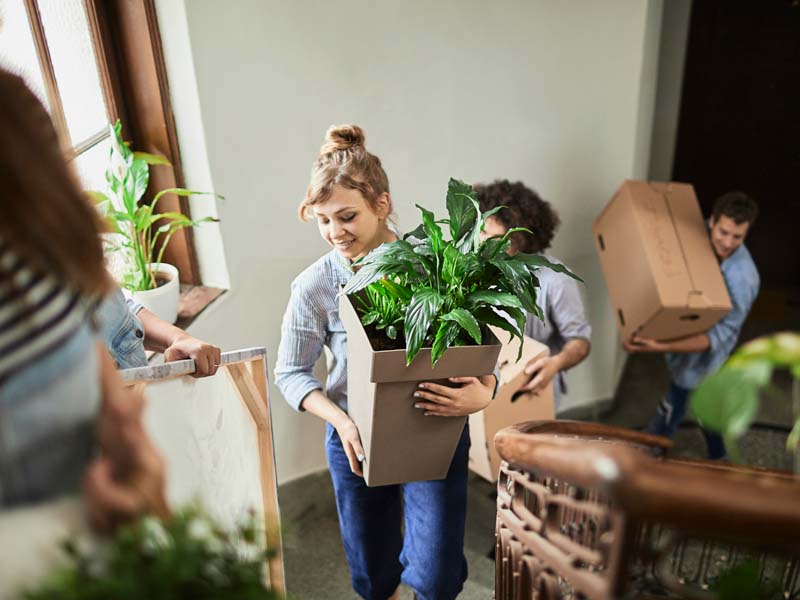 Women and man carrying plants up stairs