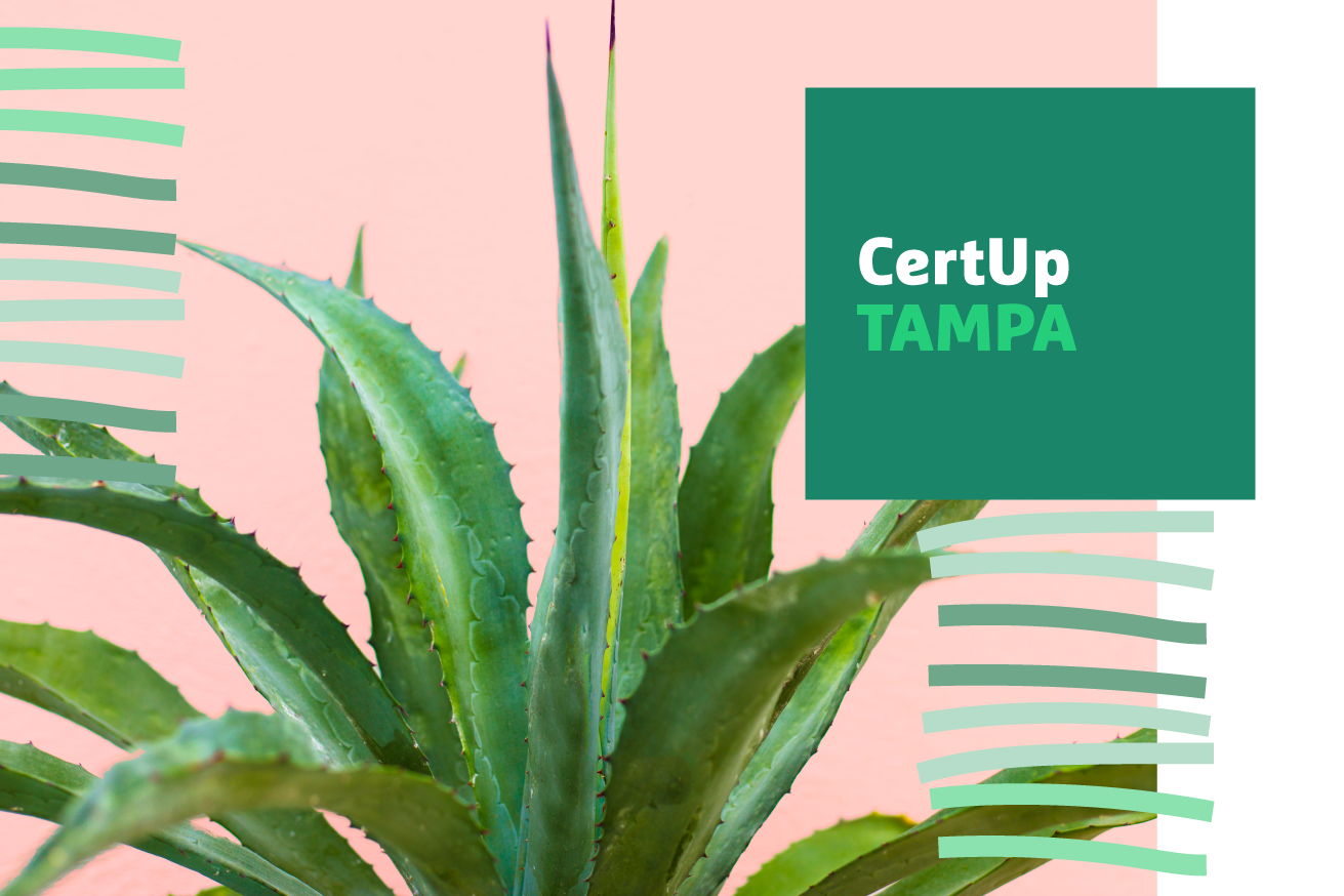 "CertUp Tampa" text on a pink background with aloe plant image overlaid