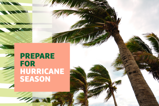 Several palm trees blowing in the winds of a storm with "Prepare for Hurricane Season" text overlaid.