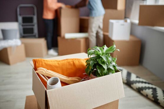 An open moving box sits in the foreground filled with a potted plant, orange fabric, wooden hangers, and other household items. In the background, two people handle additional boxes in a bright room with light flooring, a folded step ladder, and a rolled‑up rug nearby.